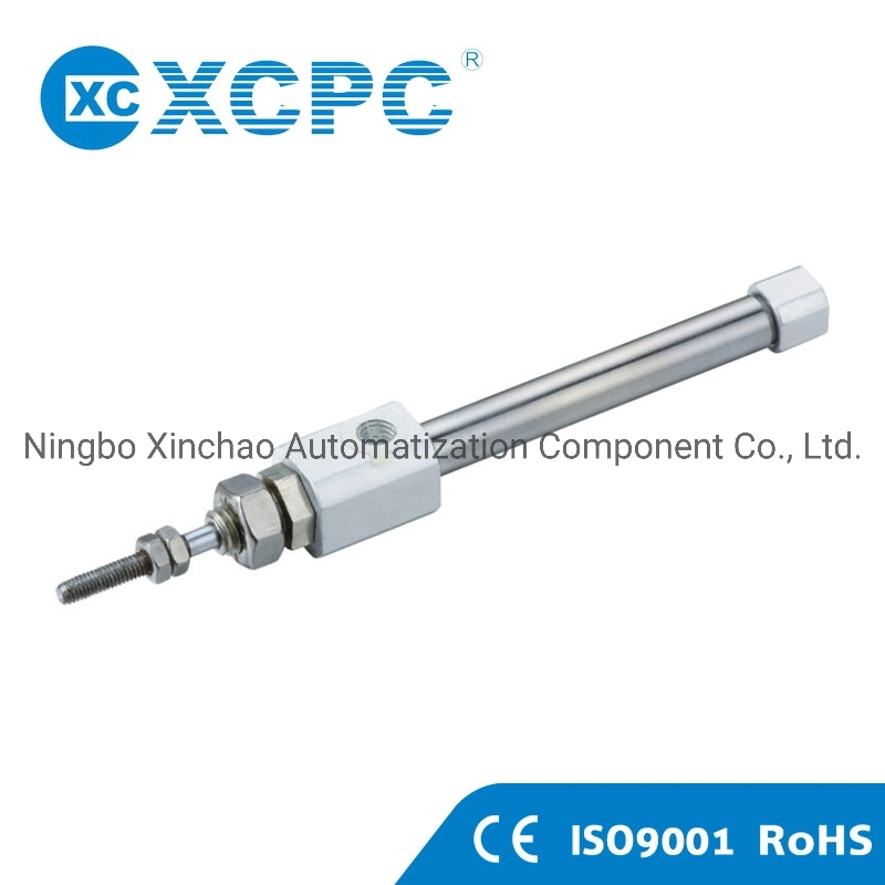 Pneumatic Manufacturer CDJ2 Stainless Steel Double Action Mini Piston Cylinder with Magnet