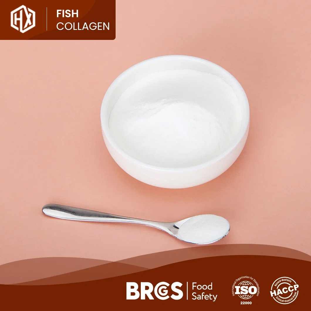 Haoxiang High quality/High cost performance Pure Hydrolyzed Marine Tilapia Scales Peptide Fish Collagen Powder Peptide 500-1000dal/300-500dal Molecular Weight Collagen Powder