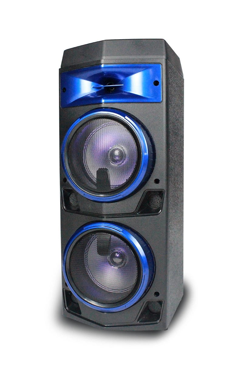 Double 12 Inch Portable Professional Powered DJ Karaoke FM Sound Box Bluetooth Trolley Speaker