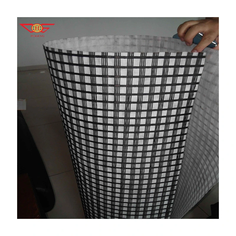 Geocomposite Biaxial Plastic Coated PP Geogrid Composite Geotextile for Mine Global Sell