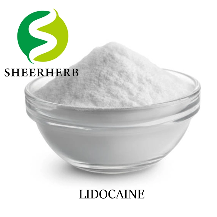 Sheerherb polvo de lidocaína al mejor precio al por mayor de 99% lidocaína CAS 137-58-6