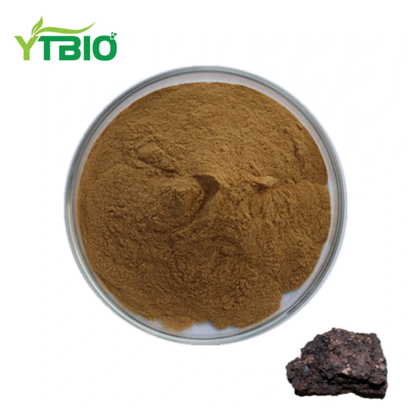 Shilajit المواد الخام Shilajit Powder Shilajit استخراج