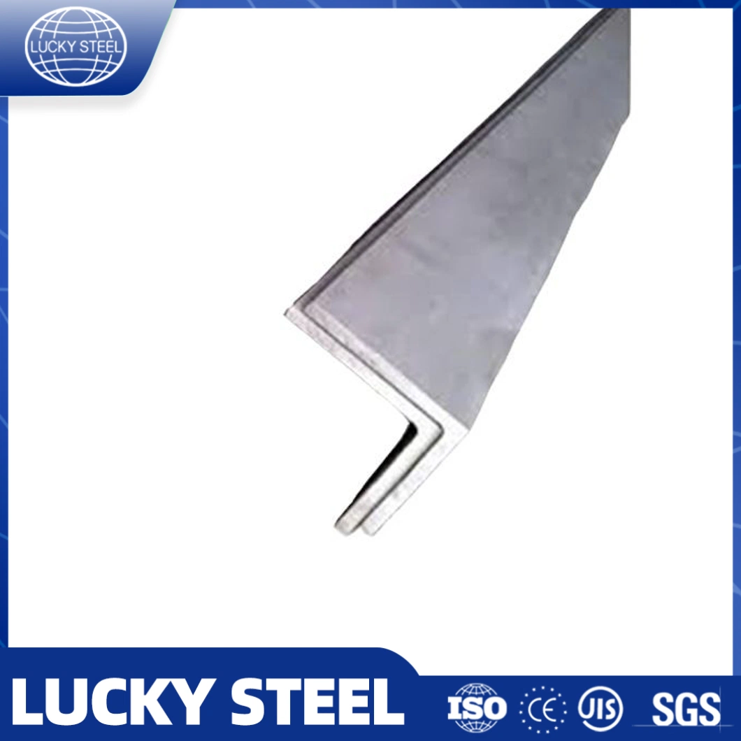 Galvanized BS En S355jr S355j0 Perforated L Shaped Steel Slotted Triangular Steel Bar Carbon Iron Angle Steel