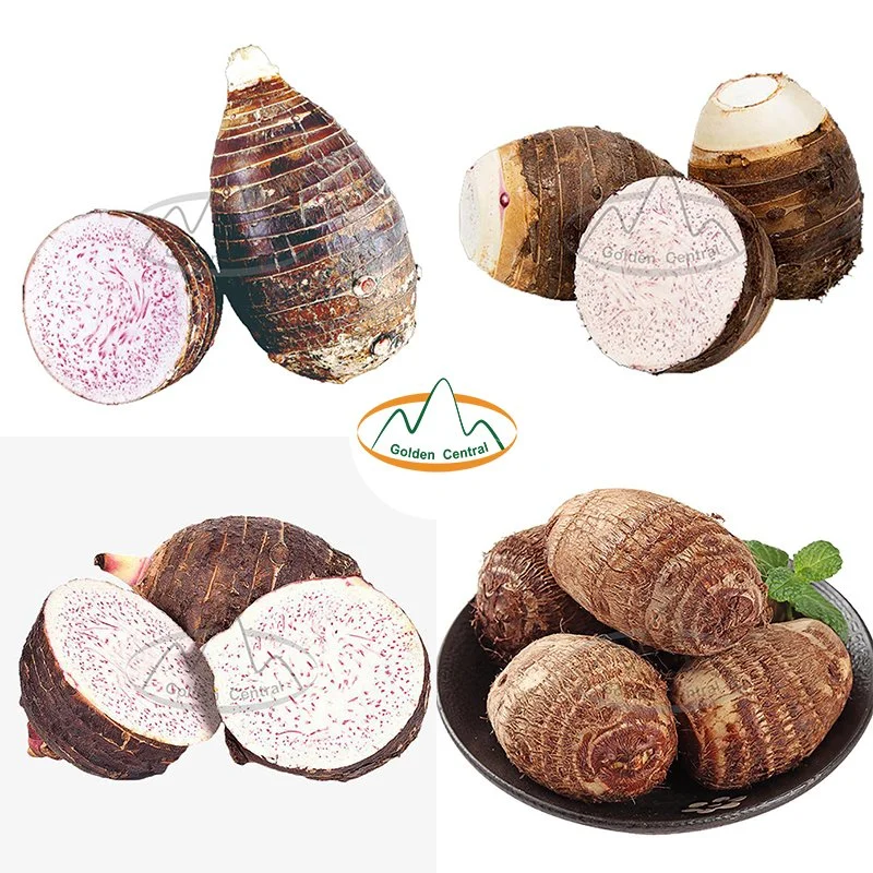 Chinese Factory Offer New Crop Taro Delicious Fresh Taro in Low Price