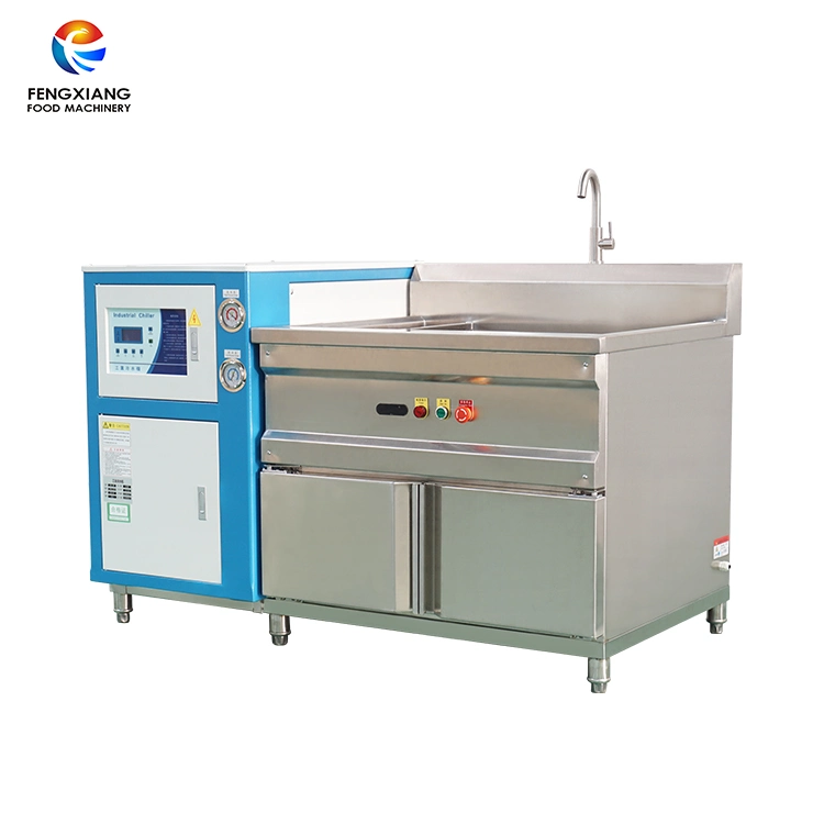 Automatic Electric Meat Vegetable Frozen Food Thawing and Washer Machine