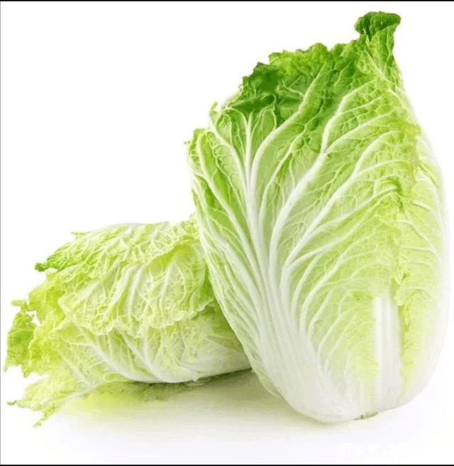 Chinese Cabbage Seeds Vegetable Seed for Growing