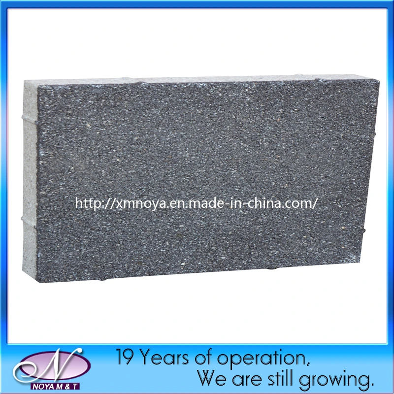 Porous Water Permeable Brick Paving Stone for Patio, Driveway, Garden