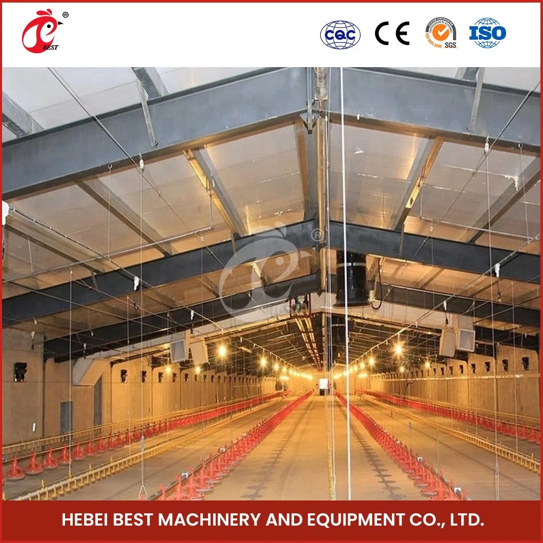 Bestchickencage Ventilation Control System China Poultry Climate Control System Manufacturing OEM Customized Located Area Ventilation System in Poultry Farms