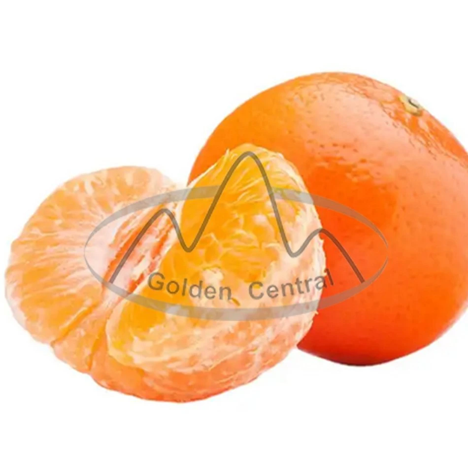 China 2023 Nuevo cítricos frescos deliciosos Mayorista/Proveedor naranja jugosa.