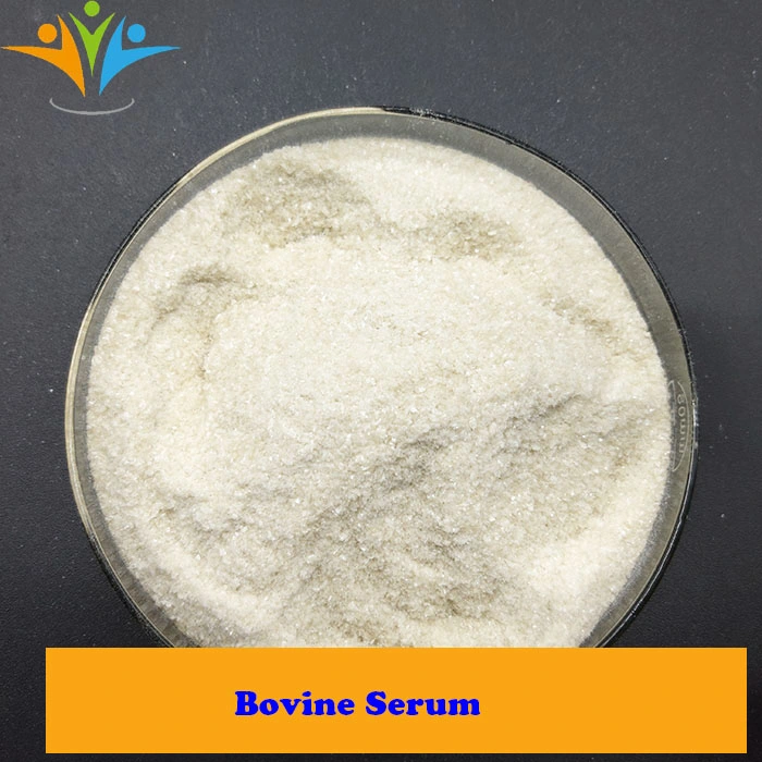 Chemicals Raw Materials 9048-46-8 Bovine Serum Albumin/ Bsa /Bovine Serum Powder