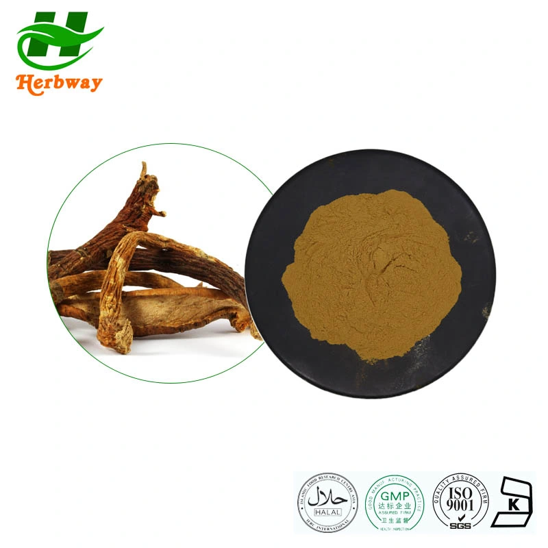 Herbway Enzian Root Extract Gentiana Scabra Bunge Extract Pulver Gentiopicrosid Pulver Gesundheitspflegeprodukte