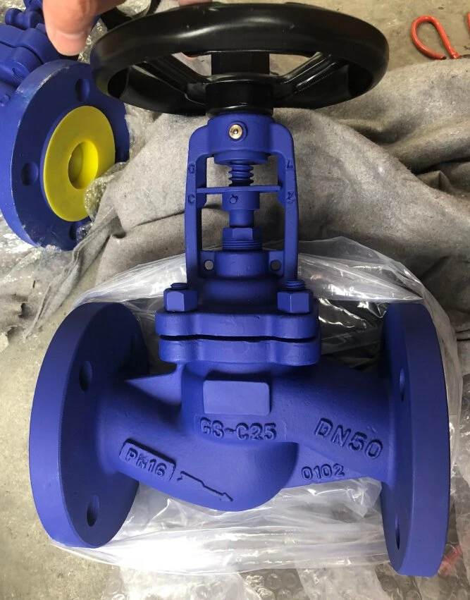 Wcb Carbon Steel Flange Dual Bellows Seal Globe Valve