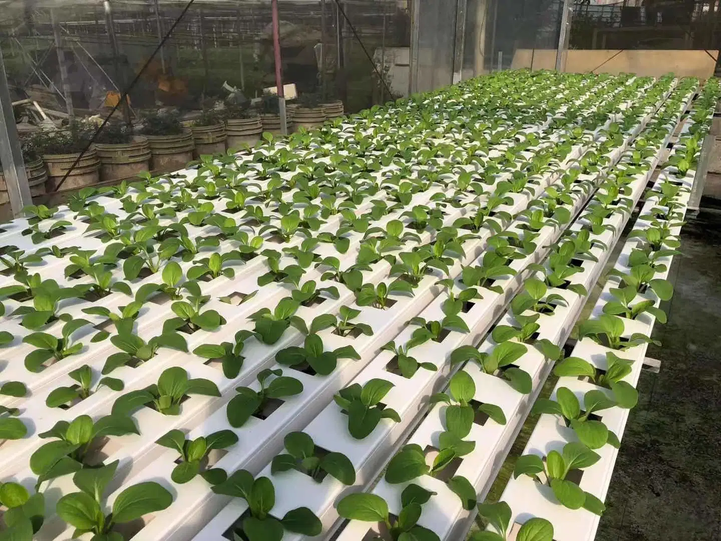 Vertical Indoor Hydroponic PVC Nft Micro Greens Growing Trough Hydroponics System