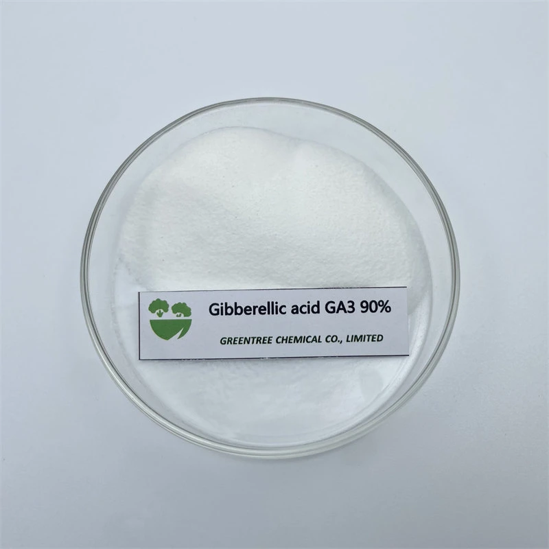 CAS no 77-06-5 Regulador de crecimiento de plantas Gibberellin giberelic GA3 90% TC