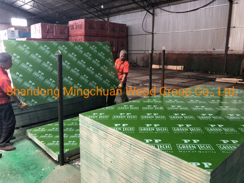 18mm Green PP Plastic Film Faced Plywood Shuttering Plywood PVC Board