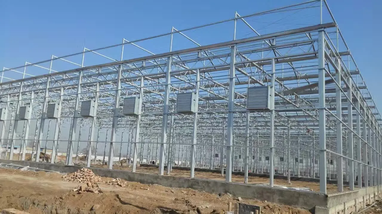 Large-Scale Greenhouses with Sturdy Frames for Farming Needs