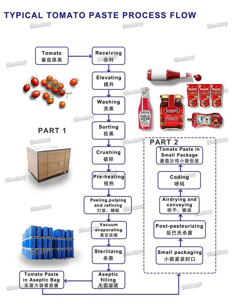 Tomatenpaste Brix 28-30%CB in Trommel/ Tomatenpaste Brix 30-32%Hb In Trommel