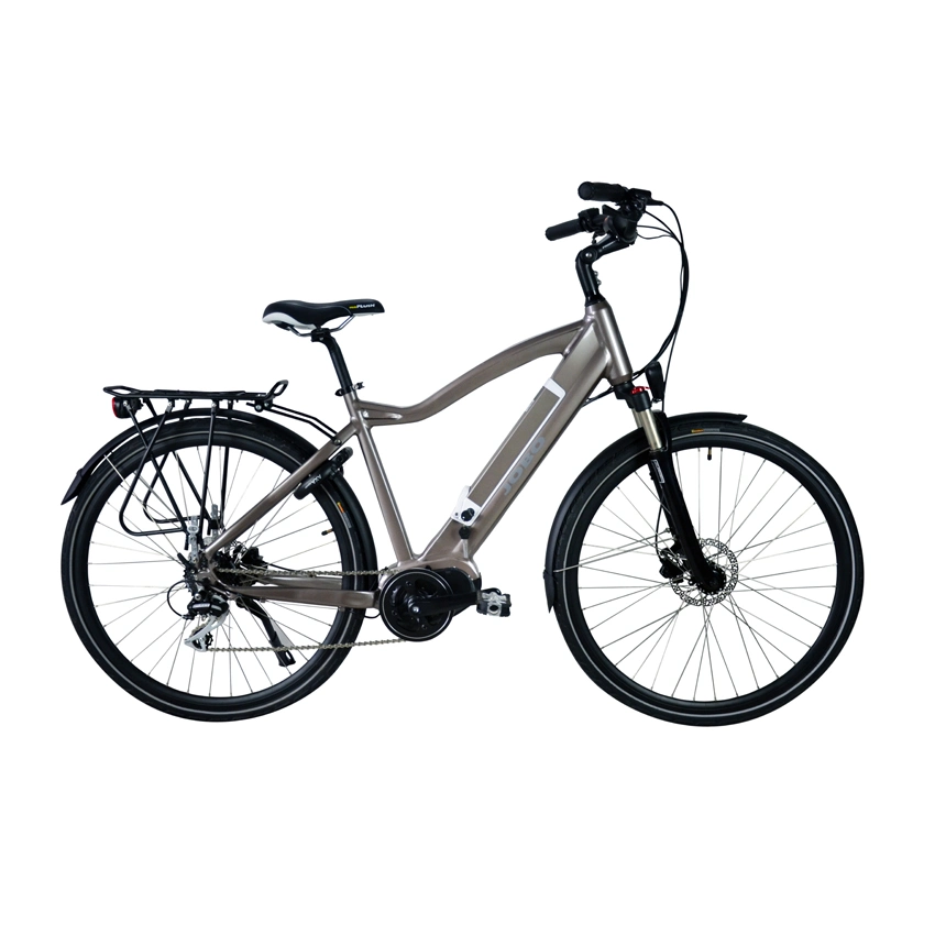Bafang 36V250W/350W Lady Electric City Bike with Hidden Battery