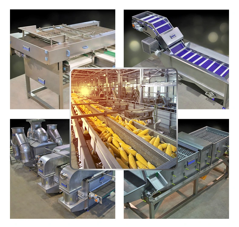 Fruit and Vegetable Sorting Line Vegetable Processing Line and Packaging Line