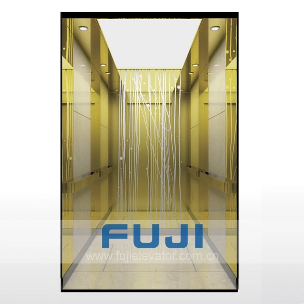 FUJI Home Elevator Hospital Lift Passenger Elevator for Sale