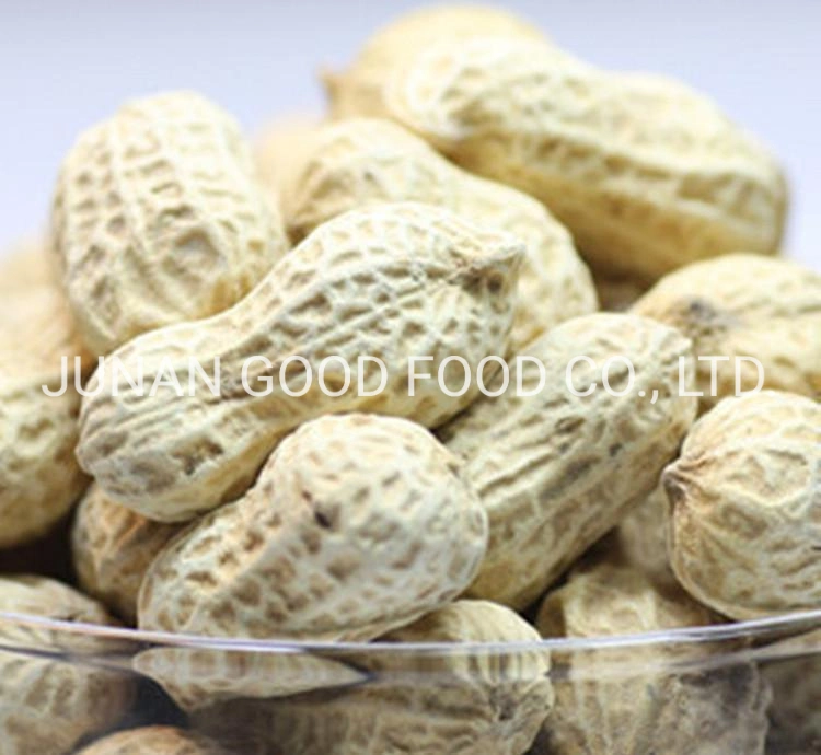 Sturdy Shell Raw Peanuts / Roasted Peanuts