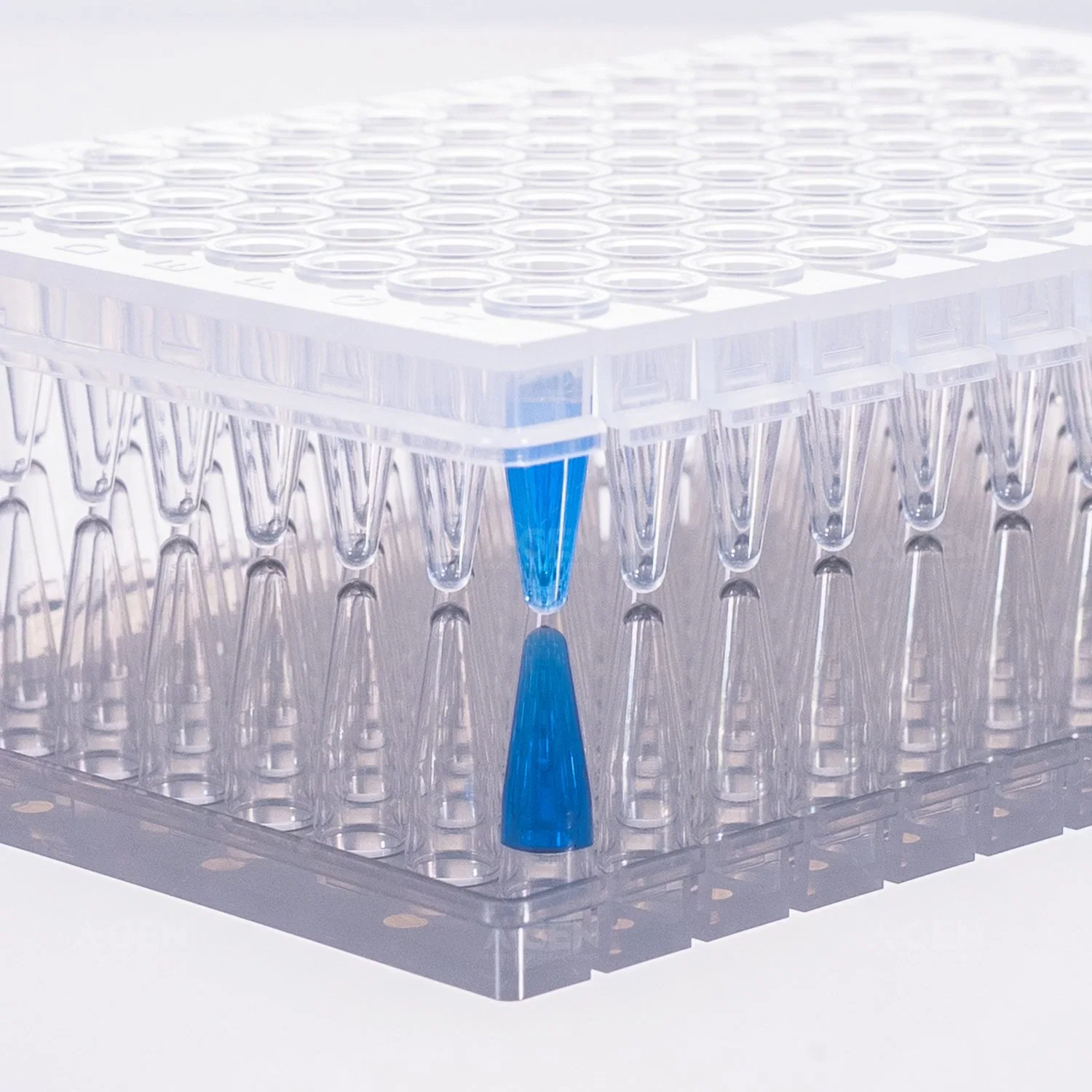 Detachable 0.2ml 96 PCR Plate, Clear, Half Skirt