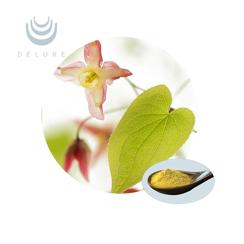 Epimedium Sagittatum Extract Epimedium Extract Capsule Plant Extract Epimedium Extract 10% 20% Icariines Epimedium Extract