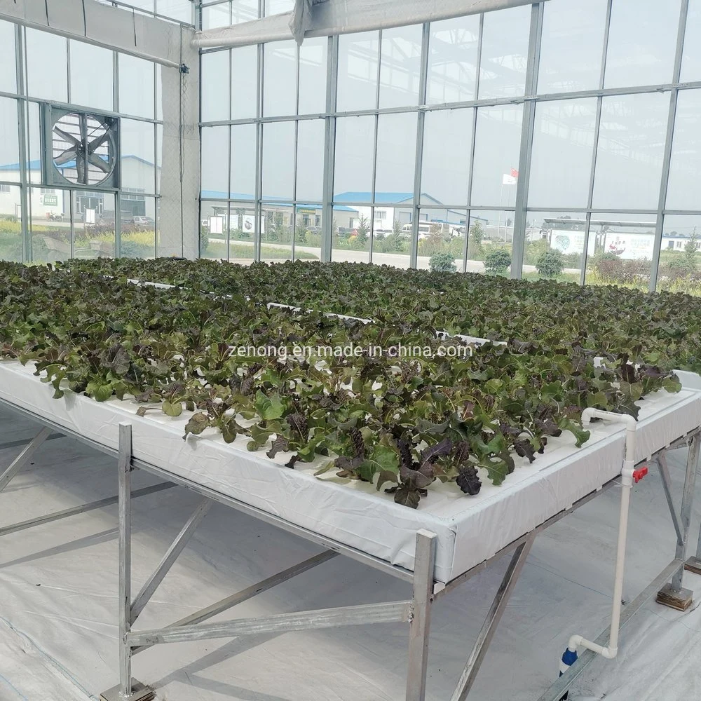 Agricultural Greenhouse Vegetable Vertical Planting Cultivation Dwc Hydroponics Grow System