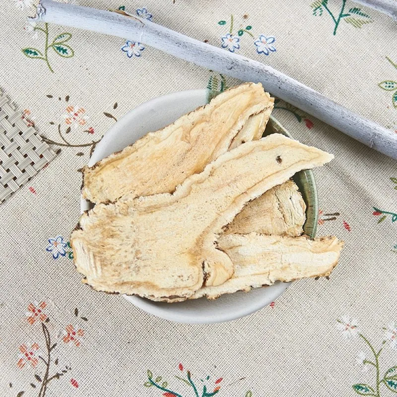 100% Natural seco Angelica raiz Slice Medicina da Saúde Chinês tradicional Erva