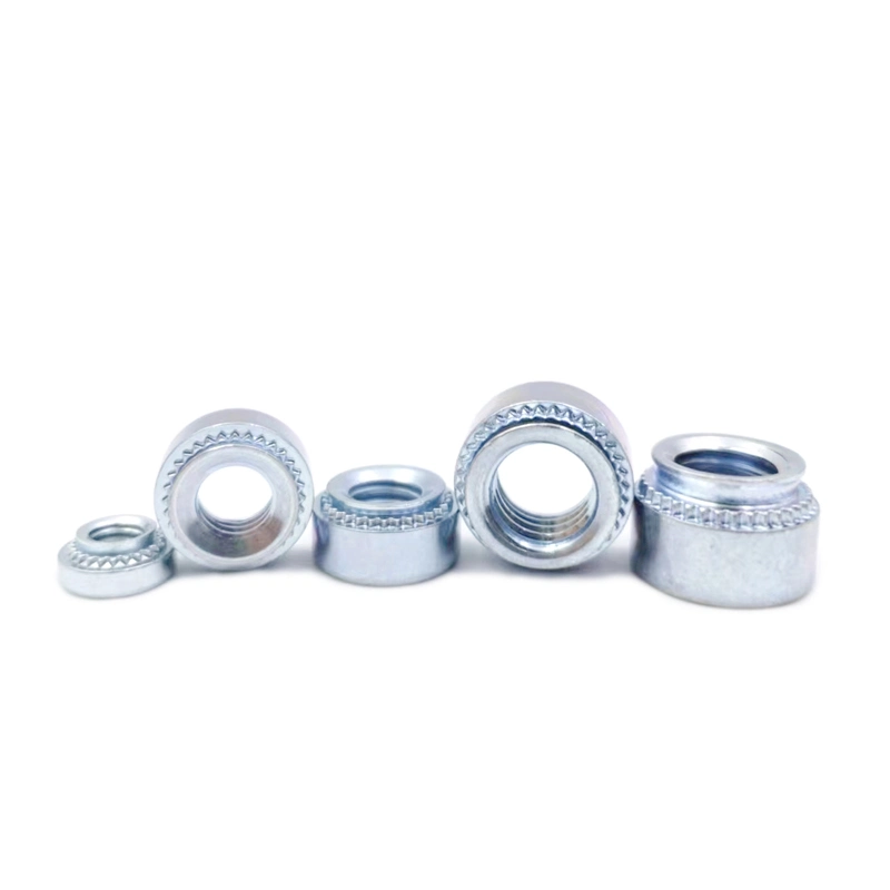 Carbon Steel Stainless Steel 304/316m2-M12 Fasteners Sealing Electronic Connection Fittings Flange Nut/Hexagon Nut/Square Nut/Hammer Nut/Rivet Nut