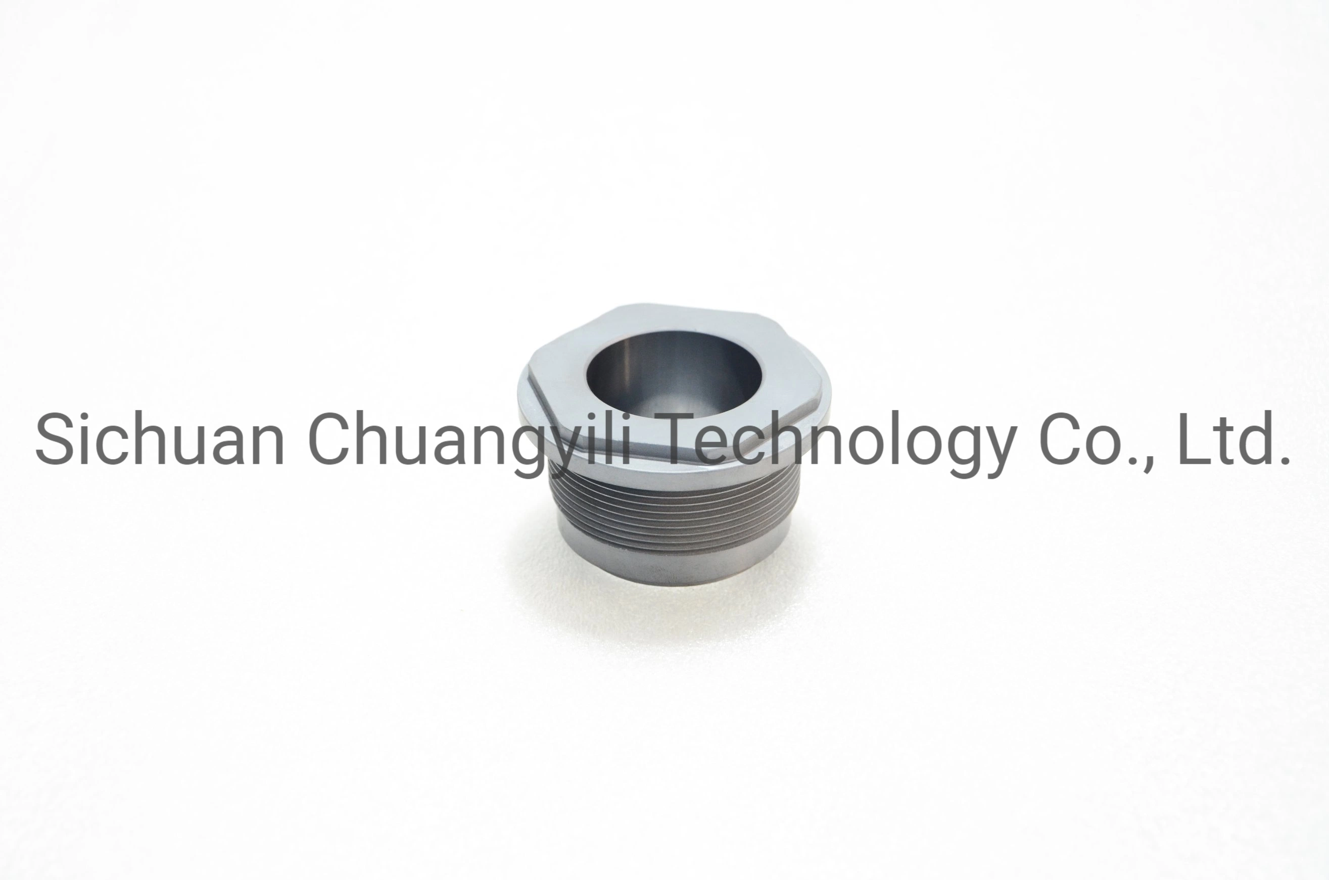 Ssic+C Ceramic Sealing O-Ring Anti Corrosion High-Temperature for Pump