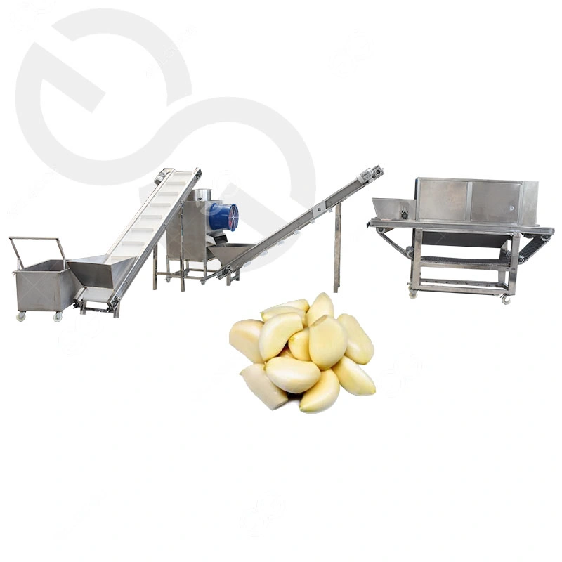 Garlic Processing Machine Plant, Peeling, Washing, Packing