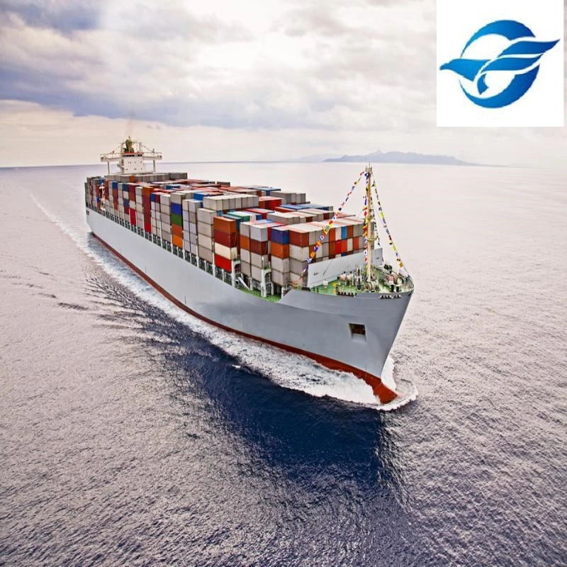 Reliable International Logistics Agent Shipping to El Salvador with Low Rates