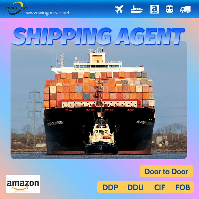 Fba DDP Shipping Serive From China to USA by Wingocean Logistics