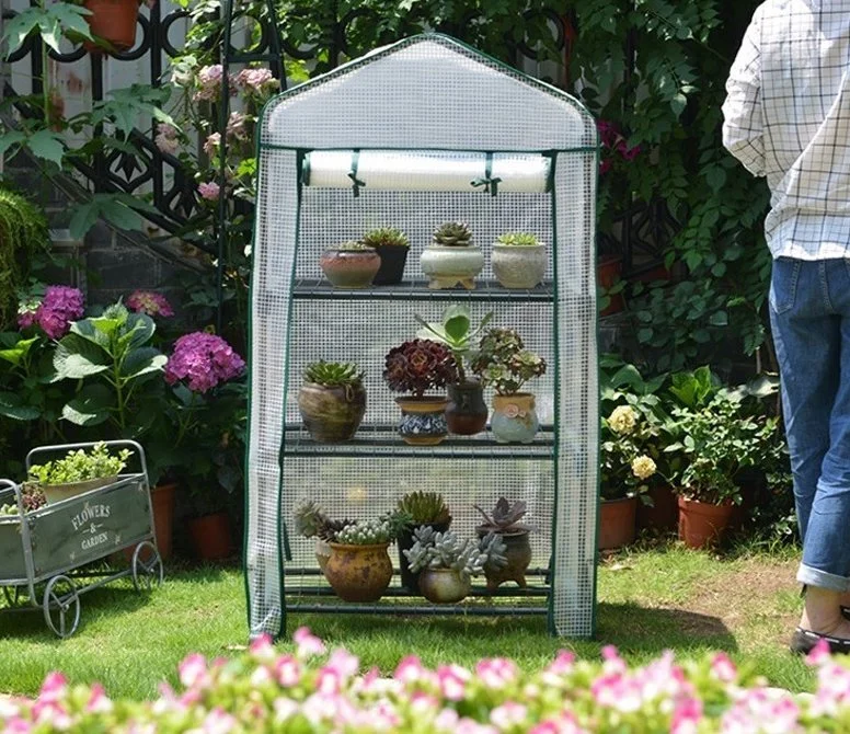 Outdoor Portable Pop up Green House/Cloche/Garden House for Vegetable/Fruits/Flower