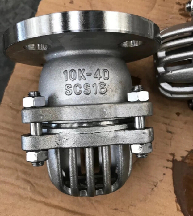 Stainless Steel Bottom Valve Lift Check Valve Flanged Foot Valve