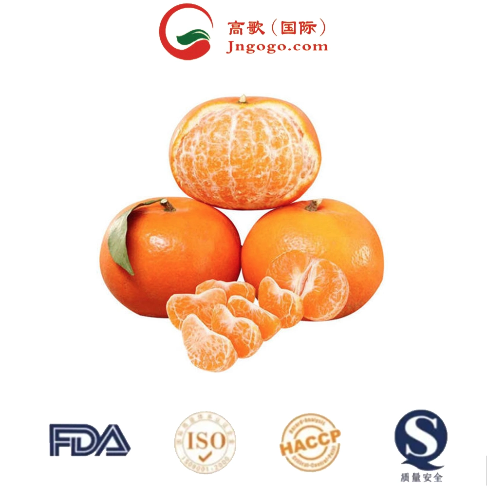 Professional China Manufacturer Tangerine Exporter Premium Chinese Fresh Citrus Fruit