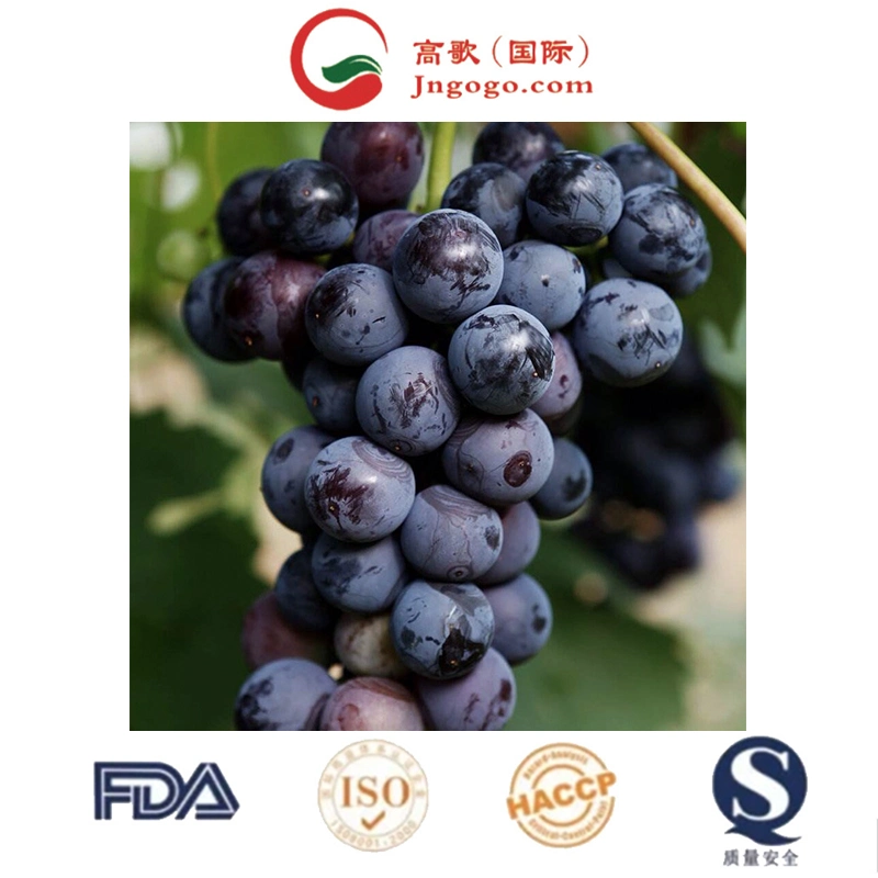 Bulk Kyoho Shine Muscat Fresh Grapes for Sale