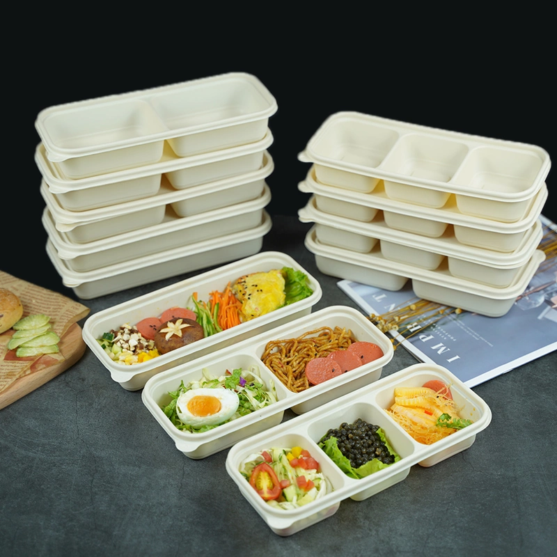 Biodegradable Sugar Cane Lunch Bento Box with Lid