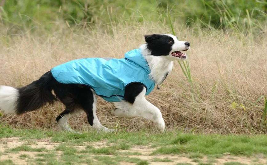 Dog Rain Coat Pet Rain Coat Pet Clothes Pet Products