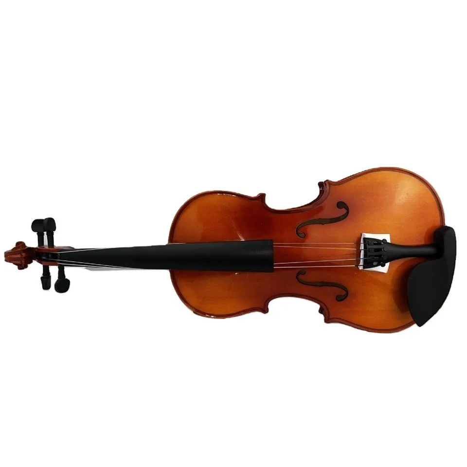 Bienvenue à la demande de renseignements Ebony case Tailpiece Strings Prix violon