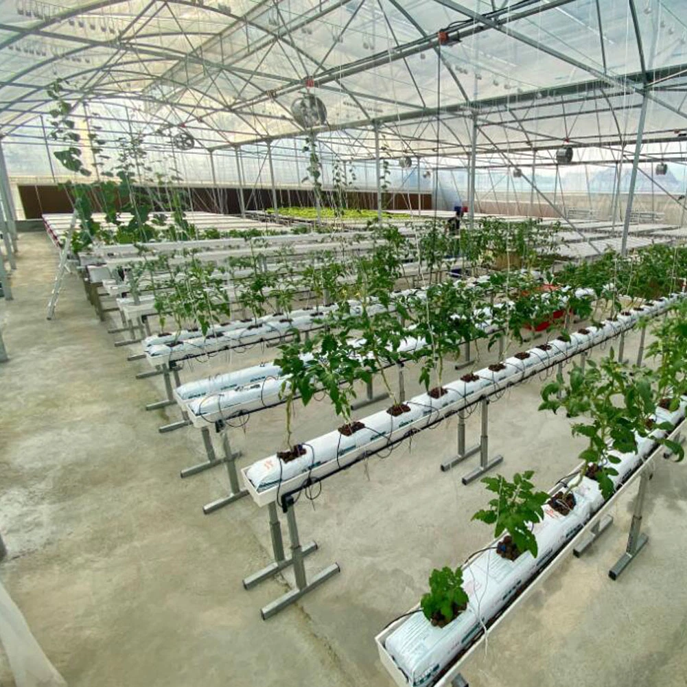 Hydroponic Gutter Growing Plants PVC Gutter Hydroponics System Greenhouse
