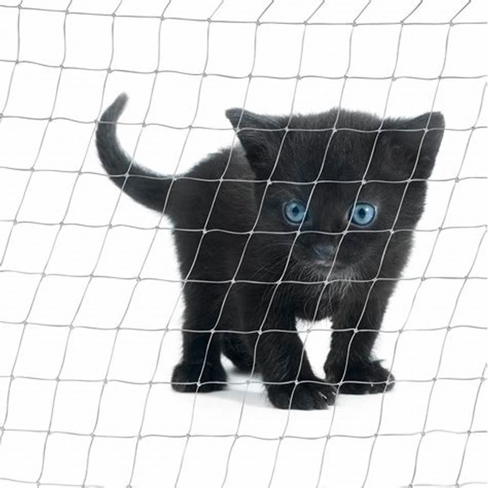 Cat Protection Net Anti Animal Net Cat Enclosure Katze Zum Netz