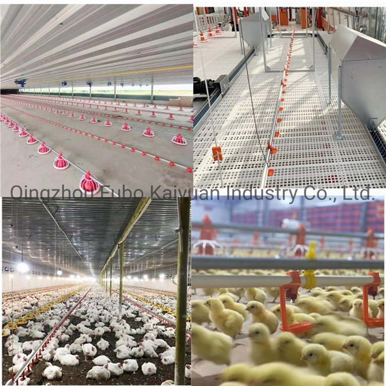 Avícola projetar o sem-fim de alimentação de frangos de corte do sistema de rotação horizontal