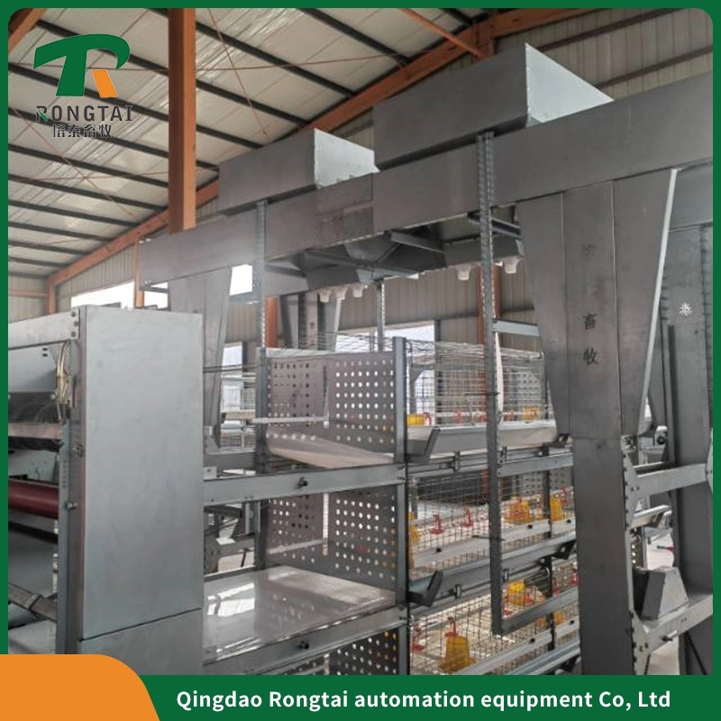 Factory Price Automatic Galvanized Farm Equipment Livestock Poultry Bird Battery Chicken Cages Chicken Cage for Layer and Broiler