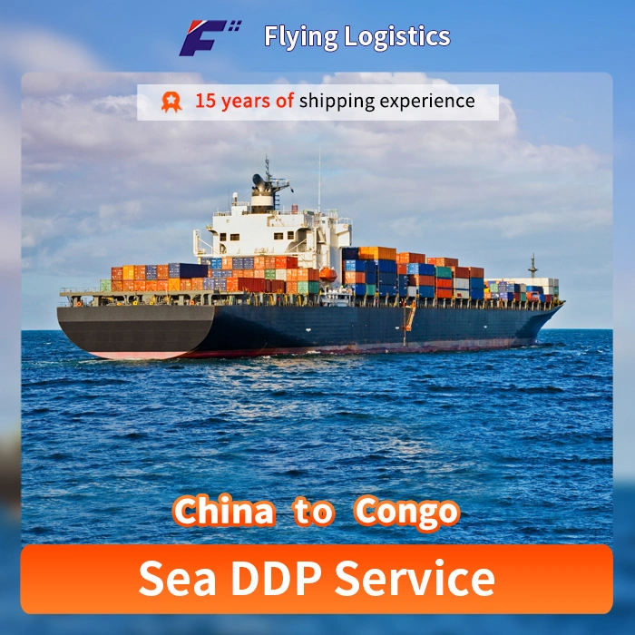 Professional Freight Agent/ Sea/Air Shipping Service From China to Congo with DDP/DDU