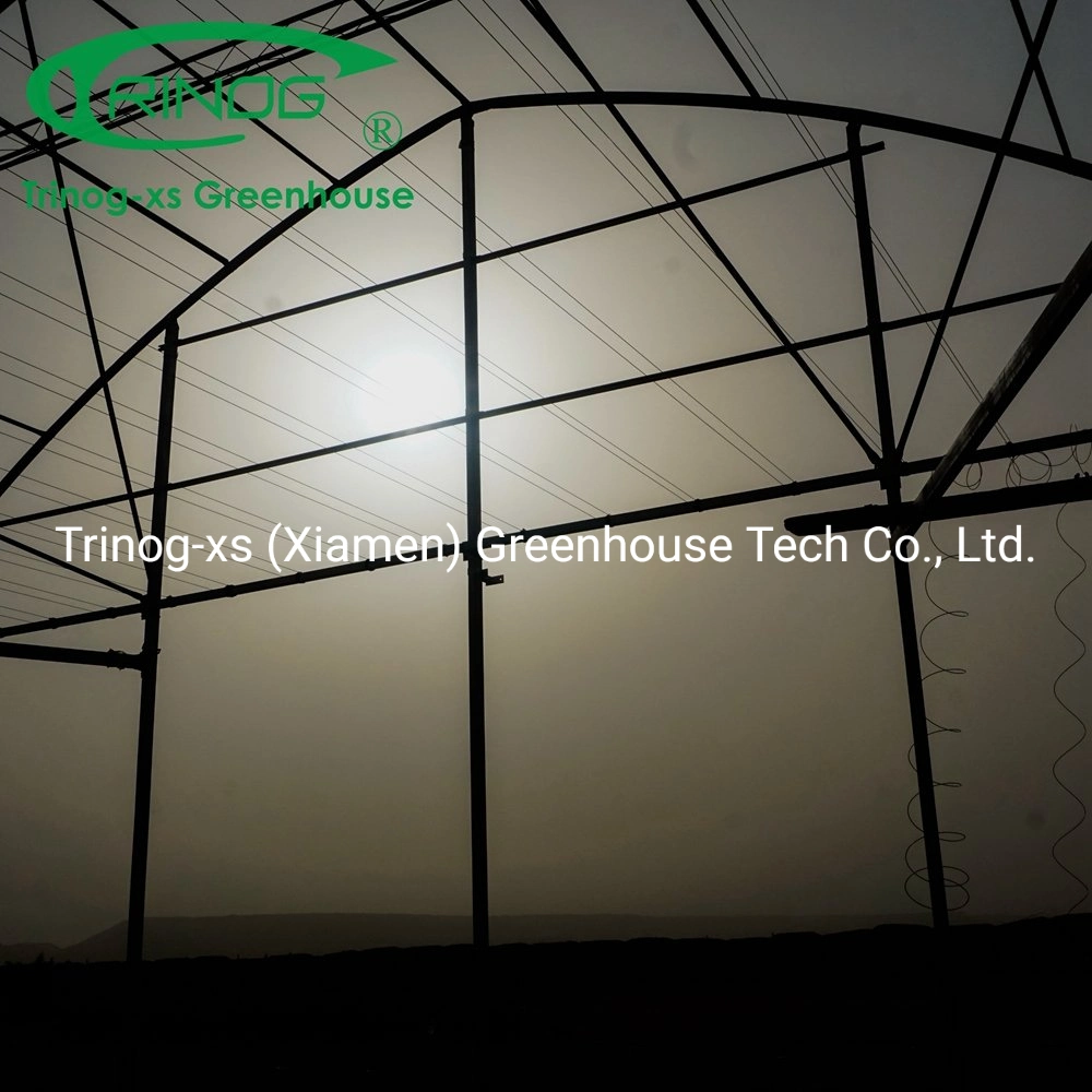 Trinog greenhouse plastic film galvanized zinc coat frame greenhouse for flower house