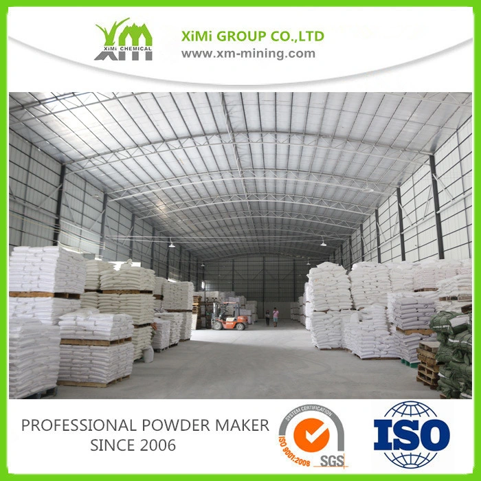 Factory Price Supply CaCO3 Powder Best Quality for Buyer 98% High Purity Calcium Carbonate Powder