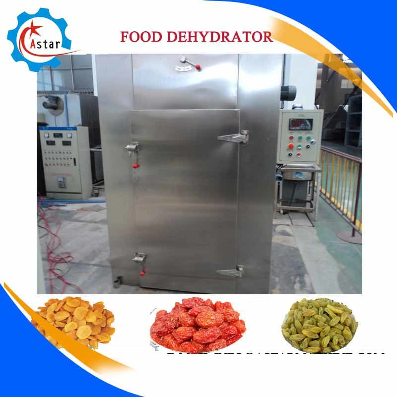 China Full Stainless Steel Dry Food Machine/Plant