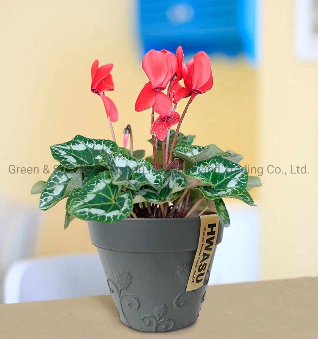 Manufacturer Wholesale Hydroponics Nordic Style Home Decoration Plastic Flower Pot Garden Planter